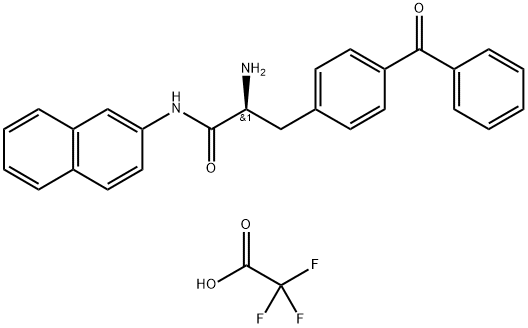 PL553 Struktur