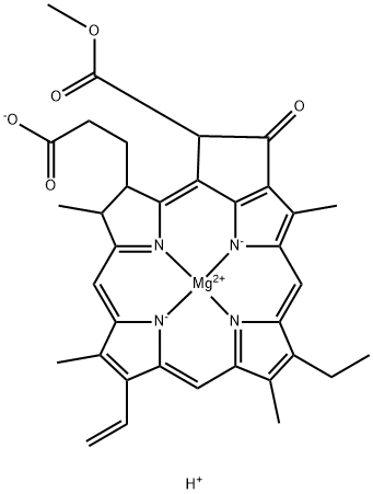 chlorophyllide a Struktur