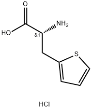 (R)-2-amino-3-(thiophen-2-yl)propanoicacid hydrochloride Struktur