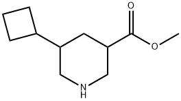 methyl5-cyclobutylpiperidine-3-carboxylate Struktur