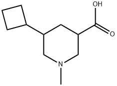 5-cyclobutyl-1-methylpiperidine-3-carboxylicacid Struktur