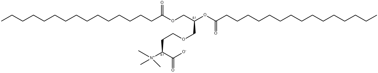 DGTS Struktur