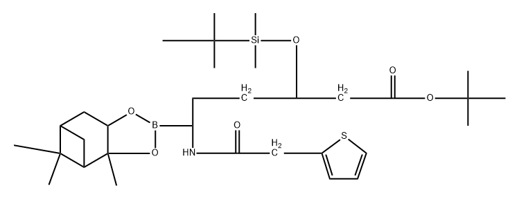 (1R,4S)-6-tert-butoxy-4-(tert-butyldimethylsilyloxy)-6-oxo-1-(2-(thiophen-2-yl)acetamido)hexylboronic acid, (+)-pinanediol ester Struktur