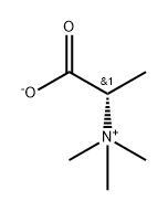 [S,(-)]-2-(Trimethylaminio)propanoic acid ion Struktur