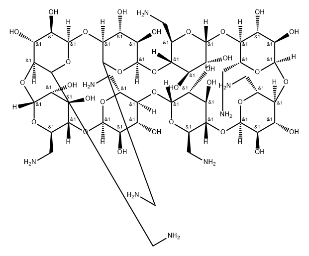 Octakis(6-amino-6-deoxy)-γ-cyclodextrin Struktur