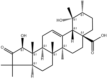 Rubuminatus B Struktur