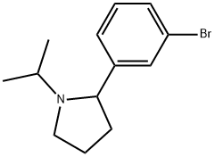 2-(3-bromophenyl)-1-isopropylpyrrolidine Struktur