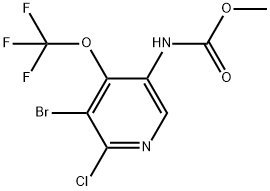 methyl(5-bromo-6-chloro-4-(trifluoromethoxy)pyridin-3-yl)carbamate Struktur