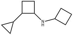 N-cyclobutyl-2-cyclopropylcyclobutan-1-amine Struktur