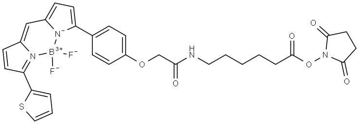 (T-4)-[N-[6-[(2,5-Dioxo-1-pyrrolidinyl)oxy]-6-oxohexyl]-2-[4-[5-[[5-(2-thienyl)-2H-pyrrol-2-ylidene-κN]methyl]-1H-pyrrol-2-yl-κN]phenoxy]acetamidato]difluoroboron Struktur