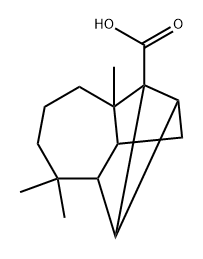 longifolic acid Struktur