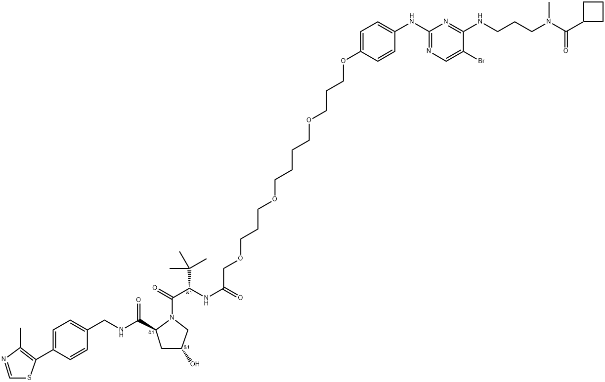 TBK1 PROTAC 1 Struktur