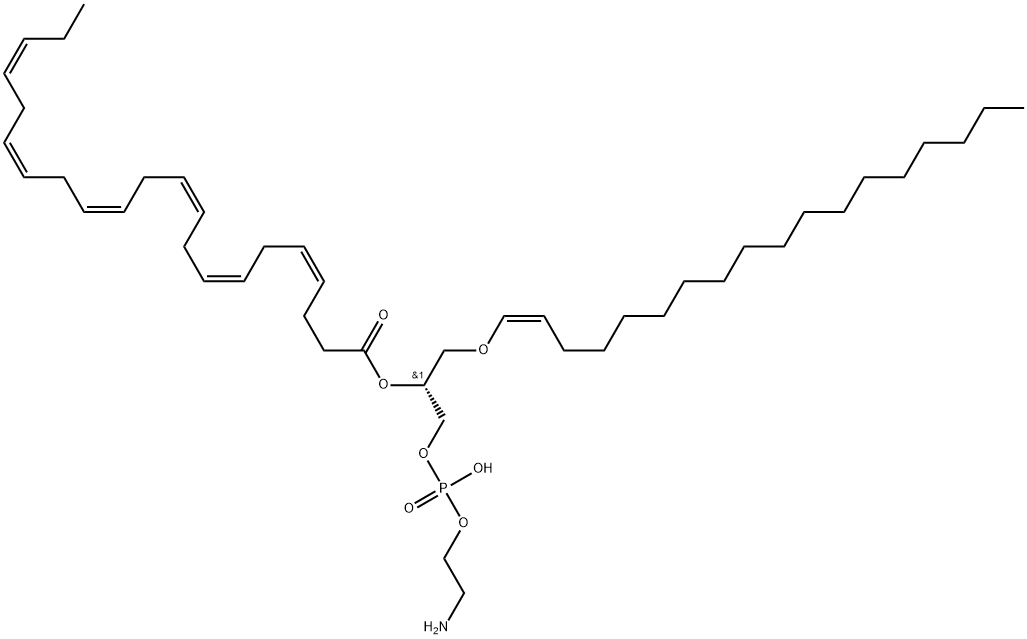 C18(PLASM)-22:6 PE Struktur