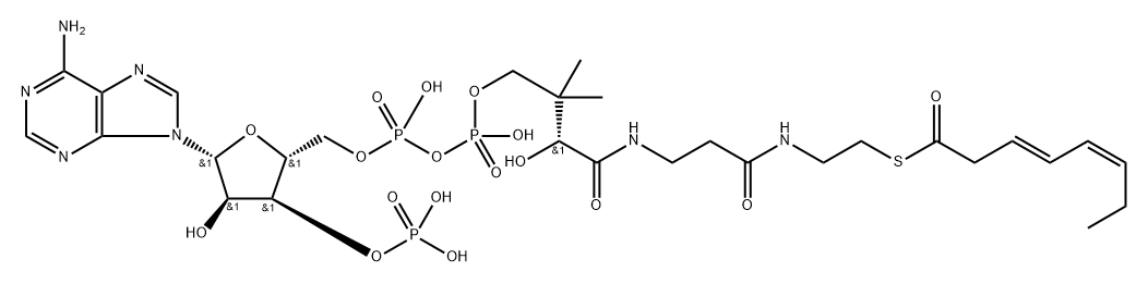 3-trans,5-cis-Octadienoyl-CoA Struktur