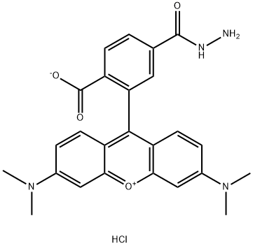 TAMRA hydrazide, 6-isomer Struktur