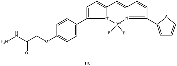 BDP TR hydrazide Struktur