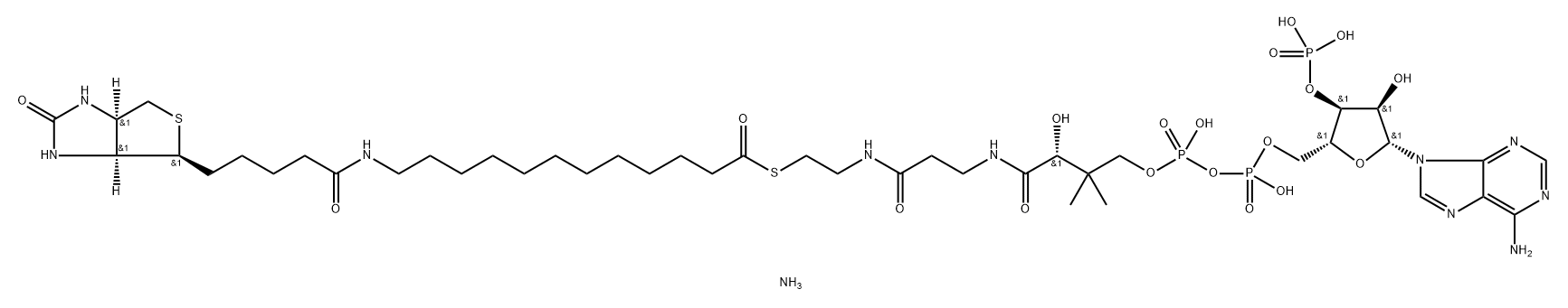 Coenzyme A, S-[12-[[5-[(3aS,4S,6aR)-hexahydro-2-oxo-1H-thieno[3,4-d]imidazol-4-yl]-1-oxopentyl]amino]dodecanoate], ammonium salt (1:3) Struktur