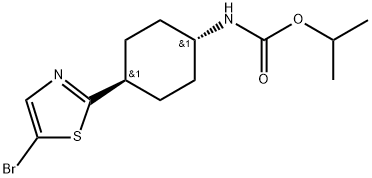 INDEX NAME NOT YET ASSIGNED Struktur