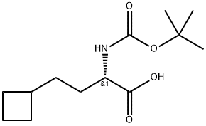 Cyclobutanebutanoic acid, α-[[(1,1-dimethylethoxy)carbonyl]amino]-, (αS)- Struktur