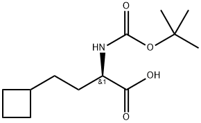 Boc-(S)-2-amino-4-cyclobutylbutanoic acid hydrochloride Struktur