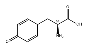 (S)-2-Amino-3-(4-oxocyclohexa-2,5-dien-1-yl)propanoic acid Struktur