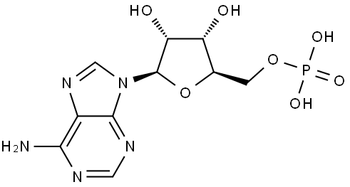 POLYADENYLIC ACID POTASSIUM SALT Struktur