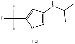 N-isopropyl-5-(trifluoromethyl)furan-3-amine hydrochloride Struktur