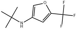 N-(tert-butyl)-5-(trifluoromethyl)furan-3-amine Struktur