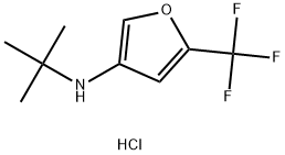 N-(tert-butyl)-5-(trifluoromethyl)furan-3-amine hydrochloride Struktur