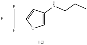 N-propyl-5-(trifluoromethyl)furan-3-amine hydrochloride Struktur