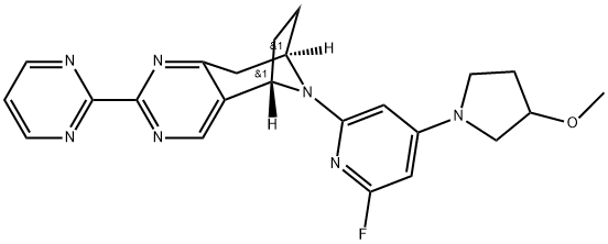 INDEX NAME NOT YET ASSIGNED Struktur