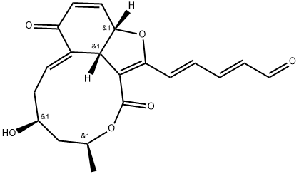 INDEX NAME NOT YET ASSIGNED Struktur