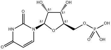 POLYURIDYLIC ACID (5') POTASSIUM SALT Struktur