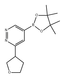 3-(tetrahydrofuran-3-yl)-5-(4,4,5,5-tetramethyl-1,3,2-dioxaborolan-2-yl)pyridazine Struktur