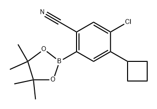 5-chloro-4-cyclobutyl-2-(4,4,5,5-tetramethyl-1,3,2-dioxaborolan-2-yl)benzonitrile Struktur