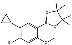 2-(4-bromo-5-cyclopropyl-2-methoxyphenyl)-4,4,5,5-tetramethyl-1,3,2-dioxaborolane Struktur