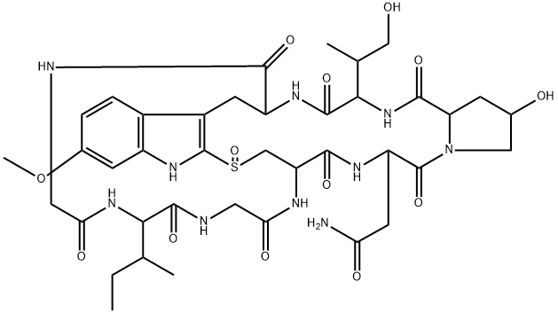 2-methyl-demethyl gamma-amanitin Struktur