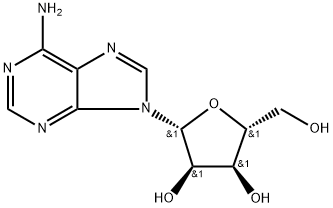 polyadenosine Struktur