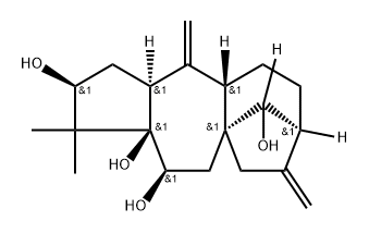 grayanotoxin VIII Struktur