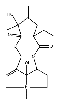 (12ξ)-13,19-Didehydro-15,20-dihydro-8,12-dihydroxy-4-methyl-11,16-dioxosenecionan-4-ium Struktur