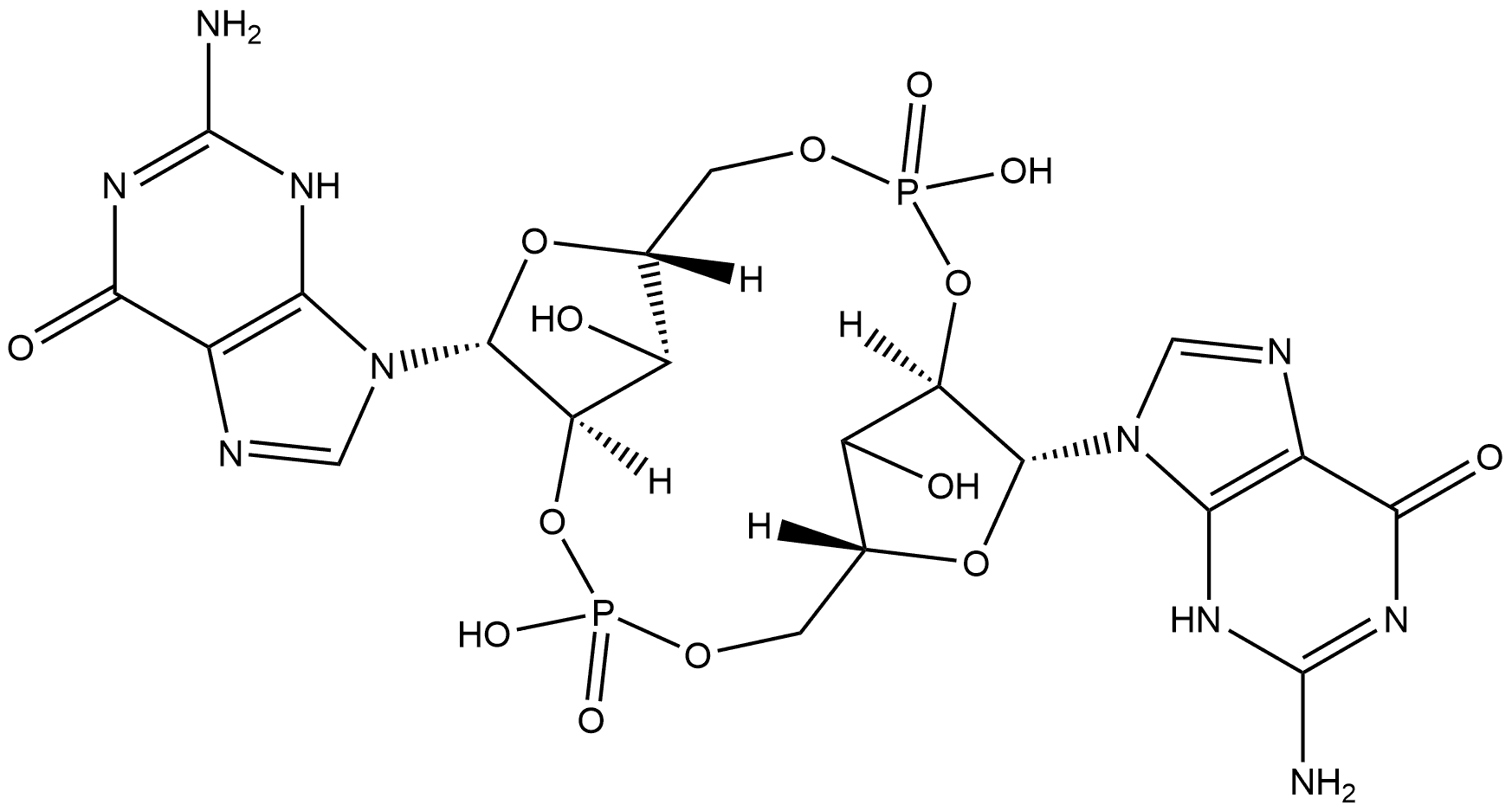 c[G(2',5')pG(2',5')p] Struktur