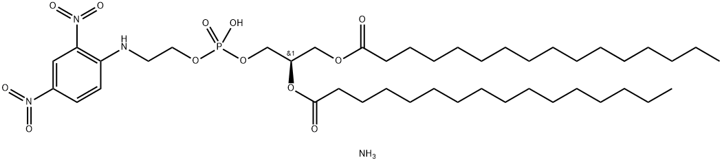 1,2-dipalMitoyl-sn-glycero-3-phosphoethanolaMine-N-(2,4-dinitrophenyl) (aMMoniuM salt) Struktur