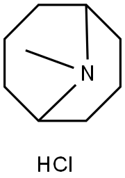 9-Azabicyclo[3.3.1]nonane, 9-methyl-, hydrochloride (1:1) Struktur