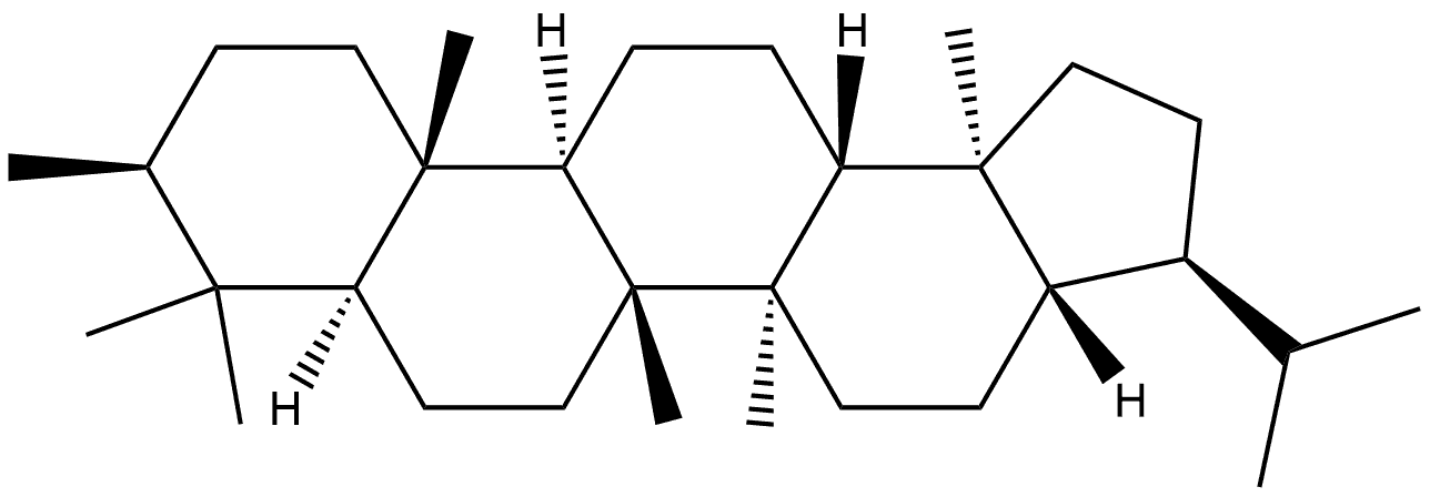 3β,17β(H),21α(H)-3-Methylhopane Struktur