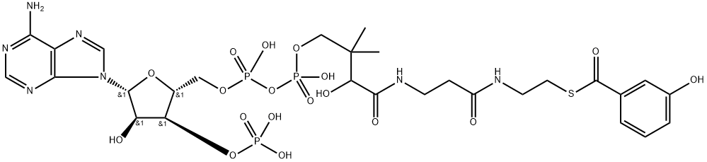 Coenzyme A, S-(3-hydroxybenzoate) Struktur