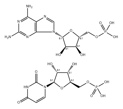 poly(2-aminoadenylic acid)-poly U Struktur