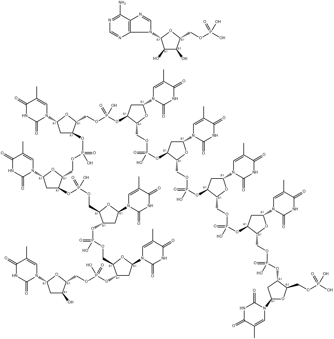 POLYADENYLIC ACID .DECATHYMIDYLIC ACID Struktur