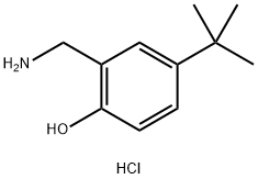 Phenol, 2-(aminomethyl)-4-(1,1-dimethylethyl)-, hydrochloride (1:1) Struktur