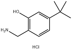 Phenol, 2-(aminomethyl)-5-(1,1-dimethylethyl)-, hydrochloride (1:1) Struktur