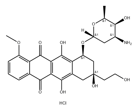 Intermediate Struktur